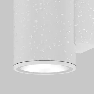 Уличный настенный светильник Outdoor O303WL-L10GF3K
