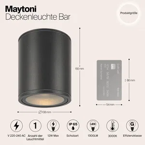 Уличный потолочный светильник Outdoor O306CL-L12GF