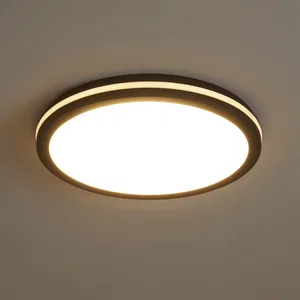 Потолочный светильник Freya FR6160CL-L40B
