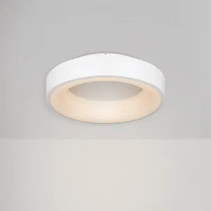 Потолочный светильник Freya FR6118CL-L45W
