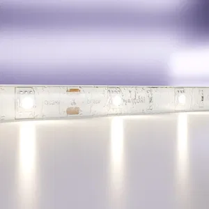 Светодиодная лента Led Strip 10164
