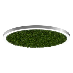 Модульный светильник HOKASU Halo Moss (кольцо со мхом)