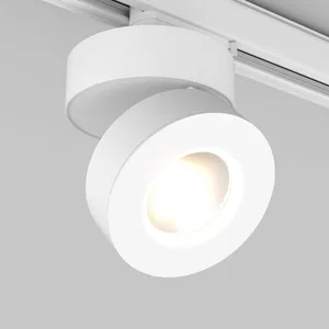 Светильник LGD-MONA-TRACK-4TR-R100-12W Day4000 (WH, 24 deg) (Arlight, IP40 Металл, 3 года)