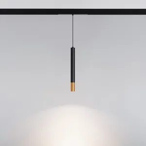 Светильник MAG-SPOT-HANG-25-R30-5W Day4000 (BK-GD, 45 deg, 24V) (Arlight, IP20 Металл, 5 лет)