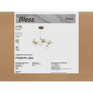 Люстра Freya FR5567PL-06G