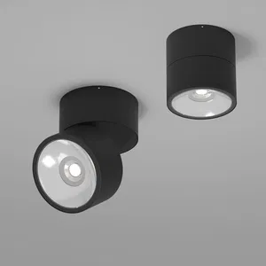 Уличный потолочный светильник Outdoor O310CL-L12GF3K