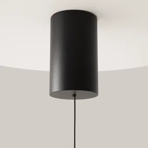 Подвесной светильник Maytoni P101PL-L300-12W3K-B