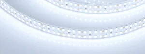 Лента RT-5000-2835-320 24V White6000 (15mm, 24W/m, IP20) (Arlight, высок.эфф.150 лм/Вт)