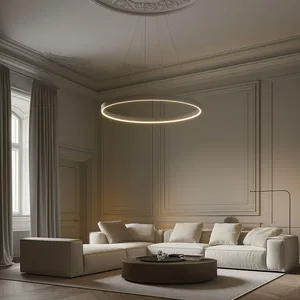 Светильник HOKASU Halo (RAL9005/D1250/LT70/IP65 — 3K/118W/120deg)