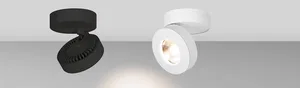 Светильник SP-MONA-SURFACE-R100-12W Day4000 (WH, 24 deg) (Arlight, IP40 Металл, 3 года)