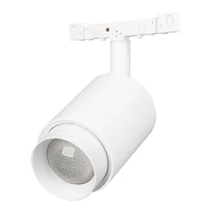 Светильник MAG-MICROCOSM-SPOT-ZOOM-R47-9W Day4000 (WH, 15-55 deg, 24V) (Arlight, IP20 Металл, 5 лет)