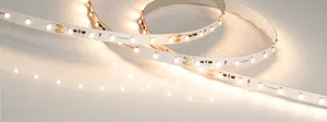 Лента IC-A60-10mm 24V Warm2700 (4.8 W/m, IP20, 3528, 20m) (Arlight, 4.8 Вт/м, IP20)