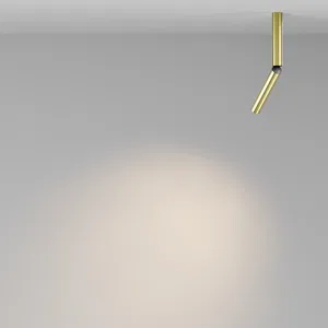 Потолочный светильник Technical C142CL-6W3K-BS