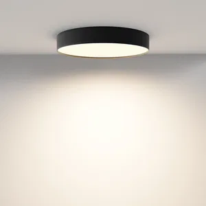 Потолочный светильник Technical C032CL-45W3K-RD-B