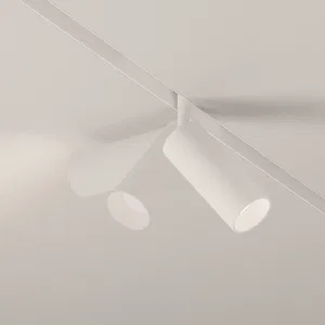Трековый светильник Technical TR032-2-12W4K-S-W