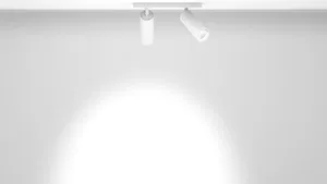 Накладной Светильник HOKASU Tube DUO (85-130/ral9003 – 40w/3090/15deg)