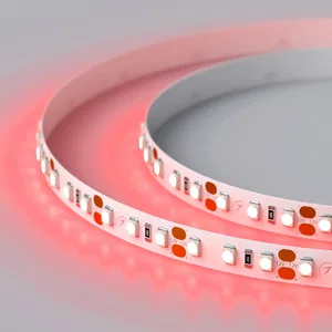 Лента RT 2-5000 12V Red 2x (3528, 600 LED, LUX) (Arlight, 9.6 Вт/м, IP20)