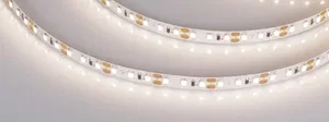 Лента RT 2-5000 12V Day4000 2x (2835, 600 LED, PRO) (Arlight, 14.4 Вт/м, IP20)