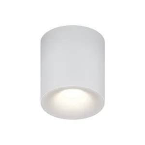 Потолочный светильник Technical C094CL-GX53-W