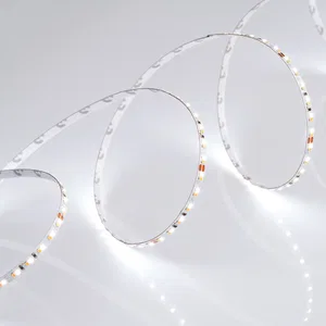 Лента MICROLED-5000 24V White-CDW 4.5mm (2216, 240 LED/m, Bipolar) (Arlight, 9.6 Вт/м, IP20)