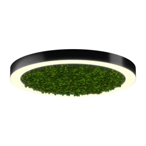 Модульный светильник HOKASU Halo Moss (кольцо со мхом)