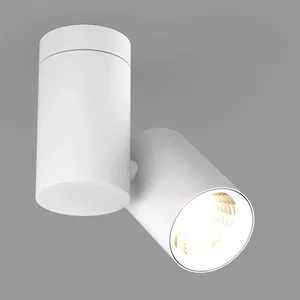 Светильник SP-POLO-SURFACE-TURN-R85-15W Day4000 (WH-WH, 40 deg) (Arlight, IP20 Металл, 3 года)