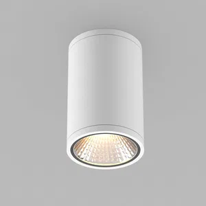 Светильник LGD-FORMA-SURFACE-R90-12W Warm3000 (WH, 44 deg, 230V) (Arlight, IP54 Металл, 3 года)
