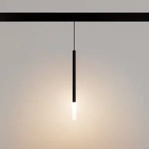 Светильник MAG-ORIENT-STICK-HANG-R20-6W Warm3000 (BK, 180 deg, 48V) (Arlight, IP20 Металл, 5 лет)