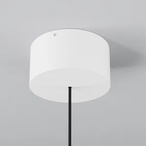 Уличный подвесной светильник Outdoor O491PL-L8W3K