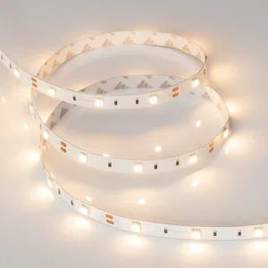 Лента RT-B30-10mm 12V Warm2400 (7.2 W/m, IP20, 5060, 5m) (Arlight, Открытый)