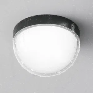 Уличный потолочный светильник Outdoor O438CL-L12GF3K