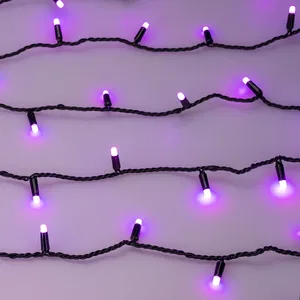 Светодиодная гирлянда ARD-STRING-CLASSIC-10000-BLACK-100LED-MILK-LIVE RGB-DMX (24V, 10W) (Ardecoled, IP65, 1 год)