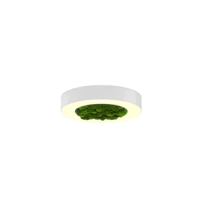 Модульный светильник HOKASU Halo Moss (кольцо со мхом)
