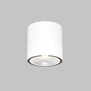 Уличный потолочный светильник Outdoor O310CL-L7W3K