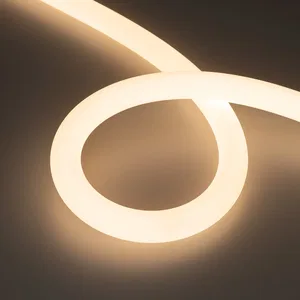 Лента герметичная MOONLIGHT-TOP-FP-X1088-D25mm 24V Warm3000 (20 W/m, IP65, 5m, wire x1) (Arlight, Вывод прямой, 3 года)