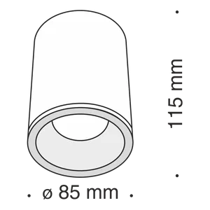 Потолочный светильник Technical C029CL