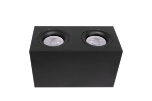 Потолочный светильник Technical C013CL-02B