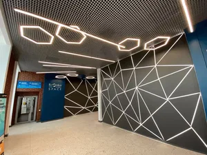 LED профиль HOKASU S35