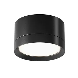 Потолочный светильник Technical C086CL-GX53-SRD-BG