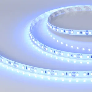 Лента RT-A120-8mm 12V Blue (9.6 W/m, IP20, 5m) (Arlight, 9.6 Вт/м, IP20)