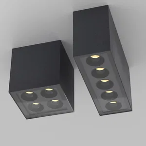 Уличный потолочный светильник Outdoor O309CL-L10GF3K
