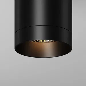 Уличный потолочный светильник Outdoor O500CL-L10B3K