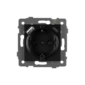 Механизм розетки с USB зарядкой SCT-MUAC-PL-BK-V (250V, 16A) (Arlight, -)