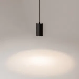 Подвесной светильник Maytoni P100PL-20W4K-B