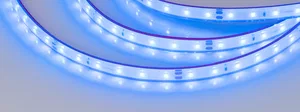 Лента герметичная RTW-PFS-A60-11mm 24V Blue (4.8 W/m, IP68, 2835, 5m) (Arlight, 4.8 Вт/м, IP68)