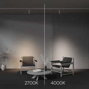 Трековый светильник Technical TR198-3-20W2.7K-Z-W