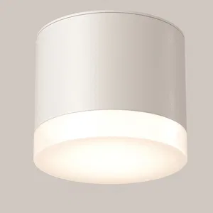 Потолочный светильник Technical C087CL