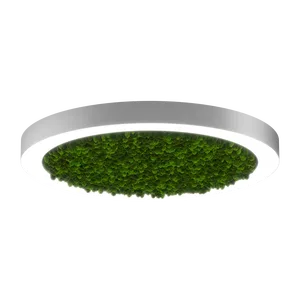 Модульный светильник HOKASU Halo Moss (кольцо со мхом)