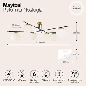 Потолочный светильник Maytoni MOD048CL-06G