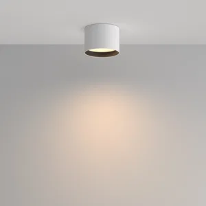 Потолочный светильник Technical C127CL-L7W3K-W